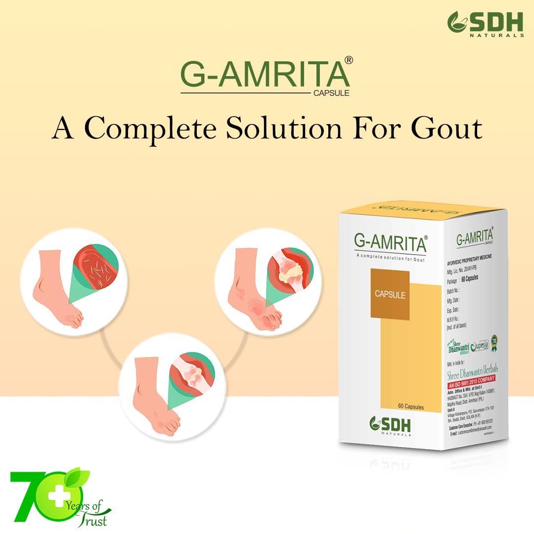 SHREE DHANWANTRI G Amrita 60 Tablets